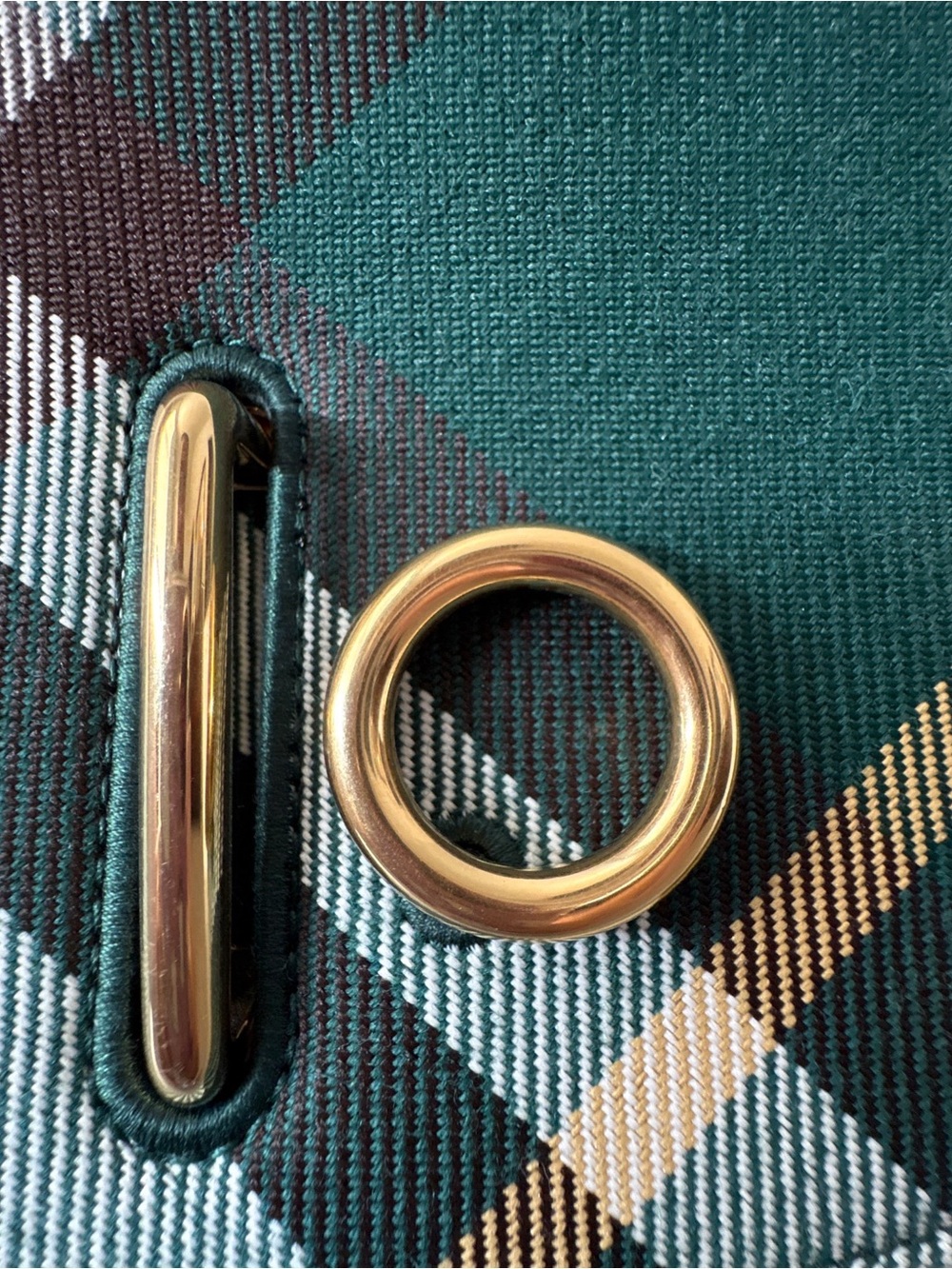 Burberry Green rocking horse Crossbody with Gold Hardware - Picture 6 of 7